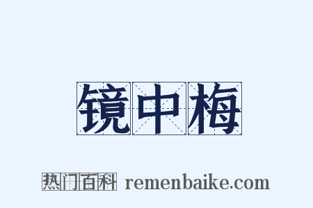 镜中梅是什么意思的图片